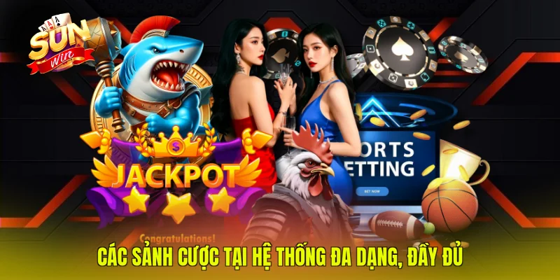 Các sảnh cược tại hệ thống đa dạng, đầy đủ